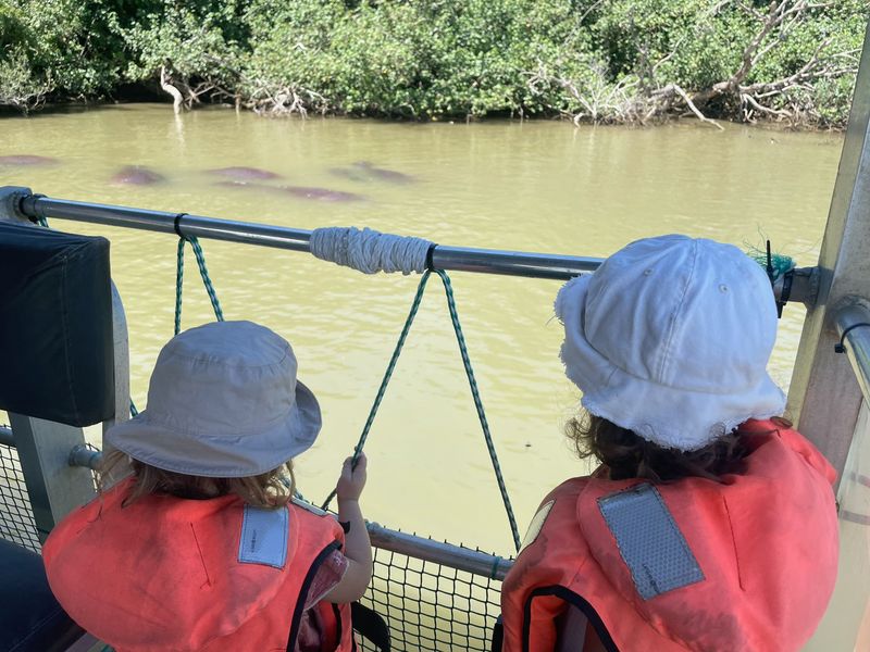 Deux enfants en gilet de sauvetage observant des hippopotames depuis un bateau à Sainte-Lucie