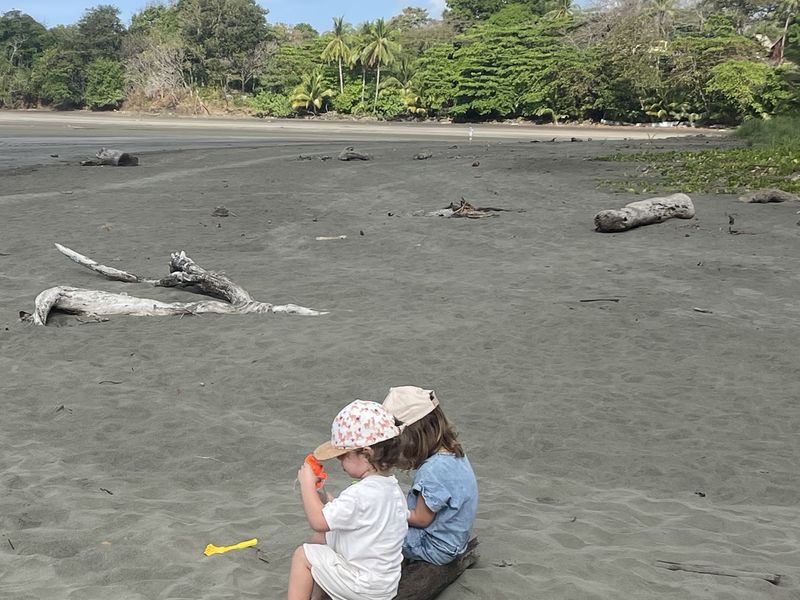 Nos deux enfants assis sur un tronc, sur la grande plage sauvage de Santa Catalina