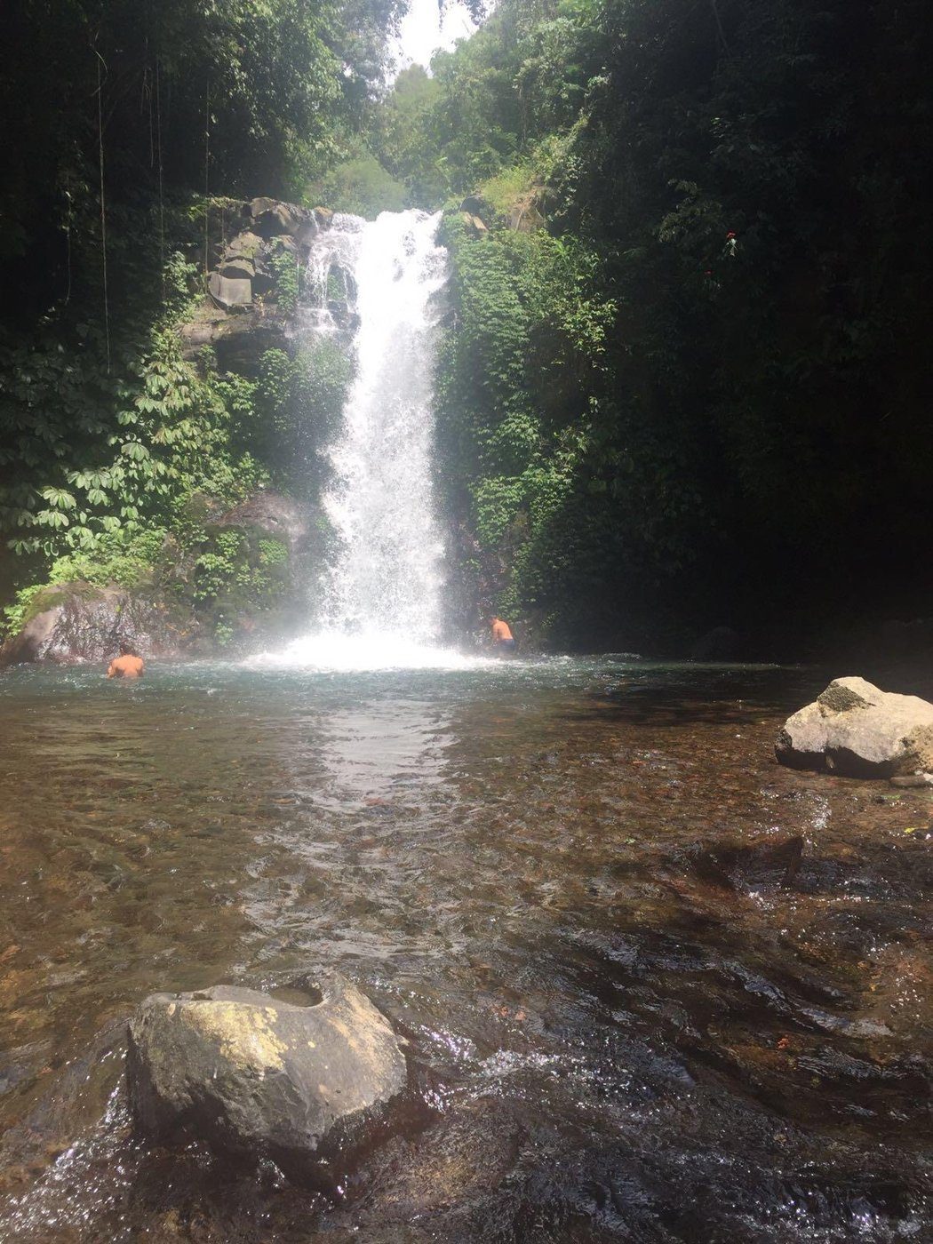 Une cascade au cœur de la jungle balinaise