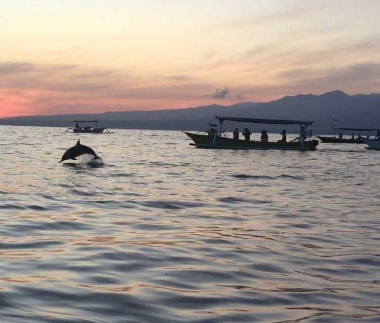 Un dauphin qui saute au lever du soleil, au large de Lovina