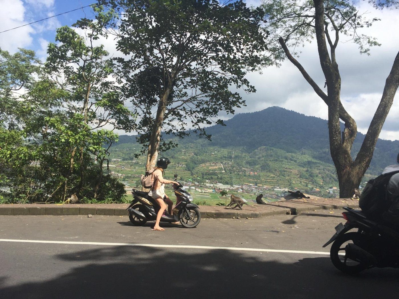Pause en scooter sur une route de montagne, avec des singes sur le bord