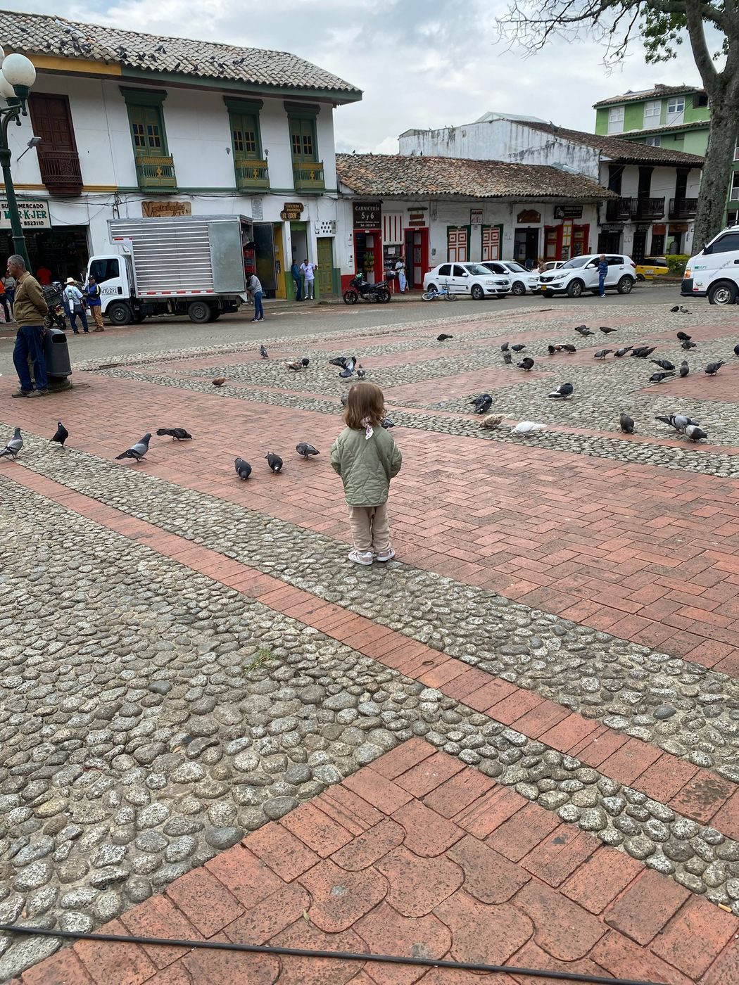 Notre fille au milieu des pigeons sur la grande place pavée de Jericó