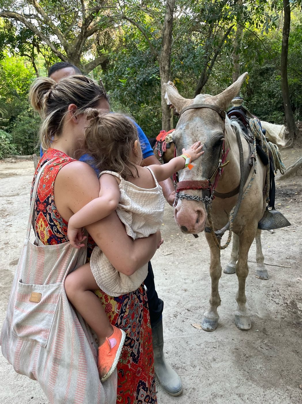 Notre fille caresse un cheval à l'entrée des sentiers du parc Tayrona