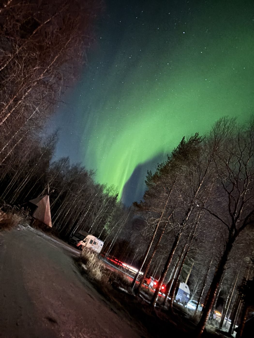Aurore boréale verte au-dessus de la forêt, près d'un kota
