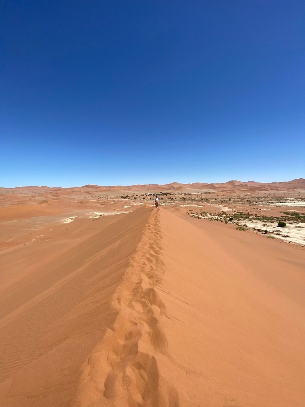 Marche sur la crête d'une dune rouge dans le désert du Namib