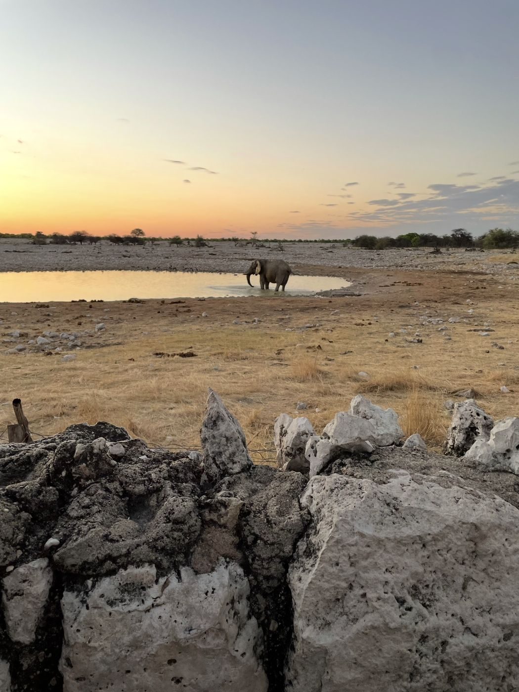 Un éléphant qui se baigne dans un point d'eau au coucher du soleil, dans le parc d'Etosha