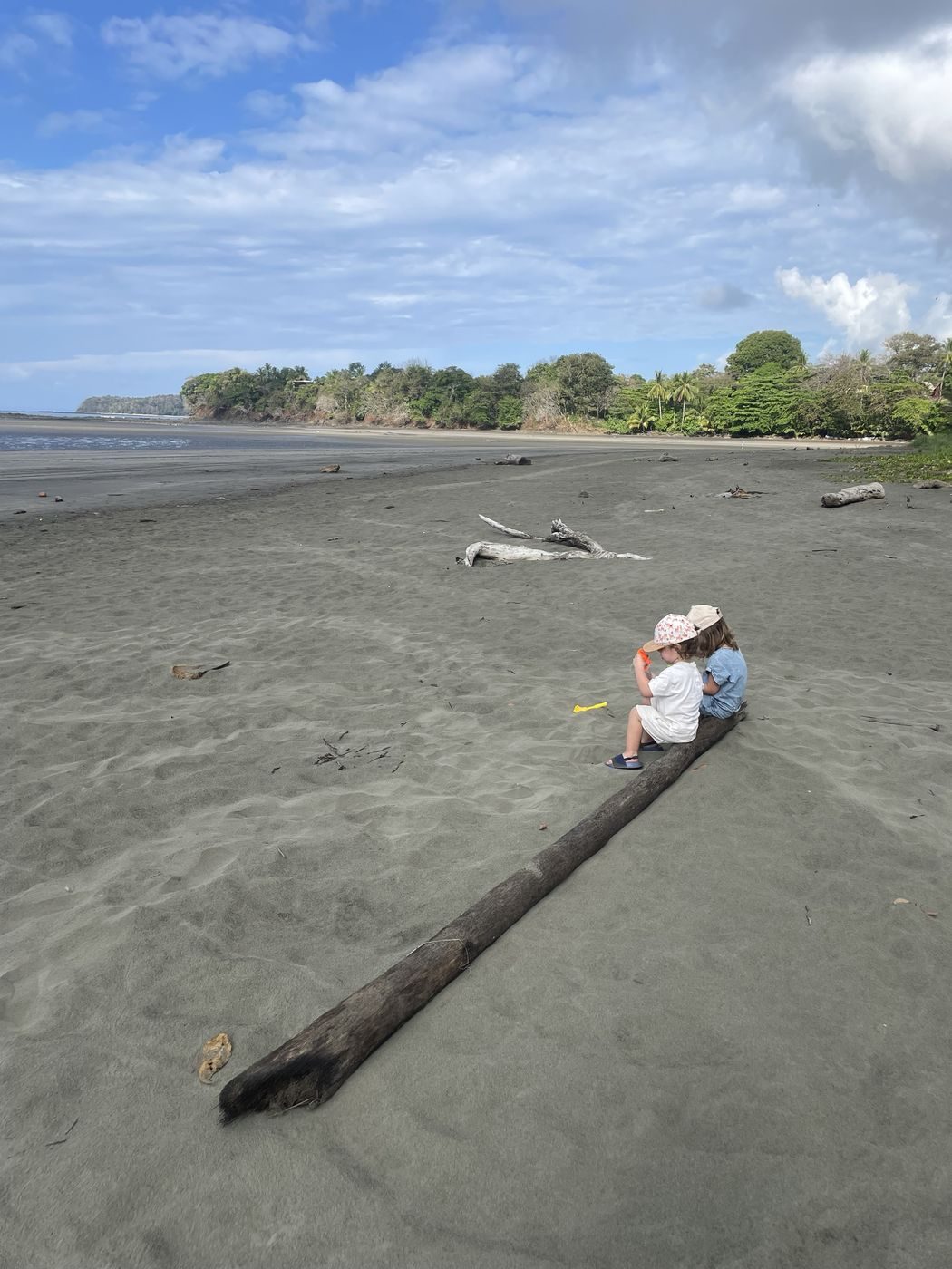 Nos deux enfants assis sur un tronc, sur la grande plage sauvage de Santa Catalina