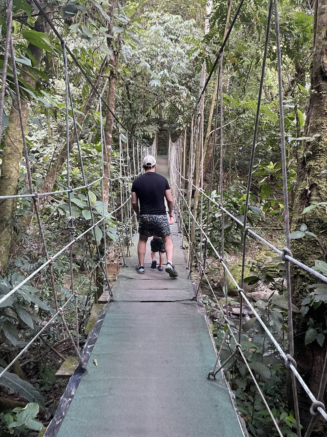 Papa et notre fils sur un pont suspendu au cœur de la forêt
