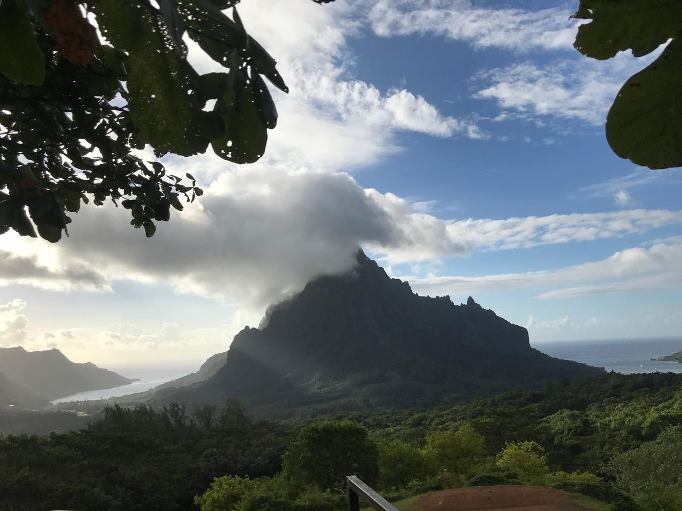 Vue depuis le belvédère de Moorea sur les montagnes et les baies