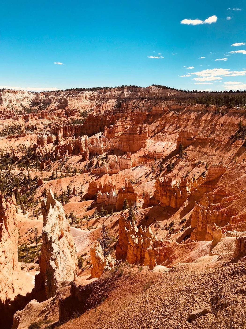 Les cheminées de fées orangées de Bryce Canyon