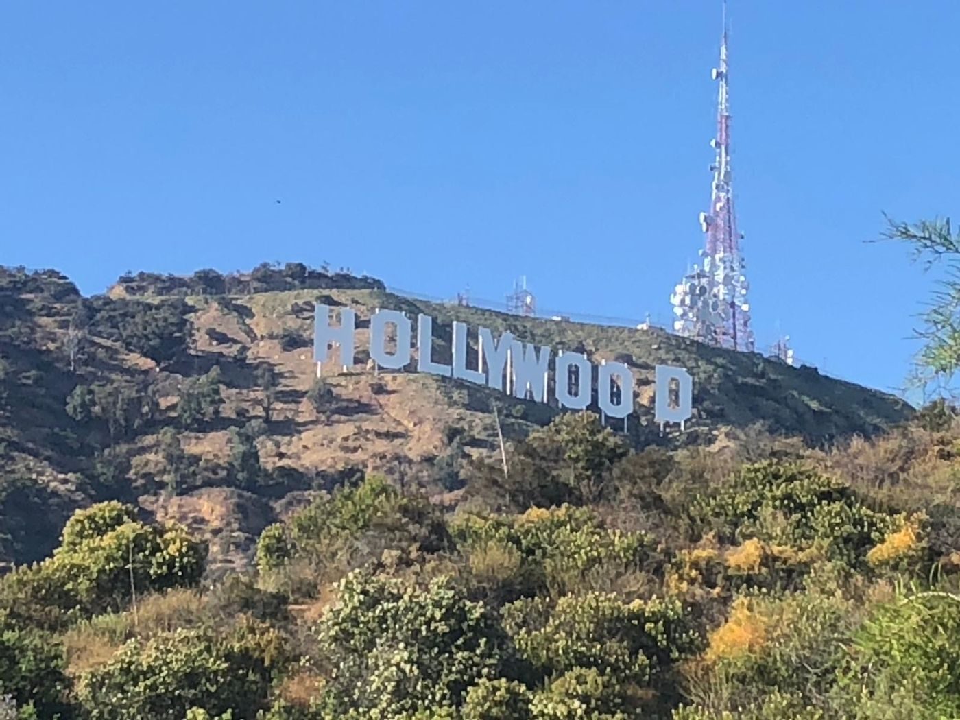 Les lettres d'Hollywood sur la colline