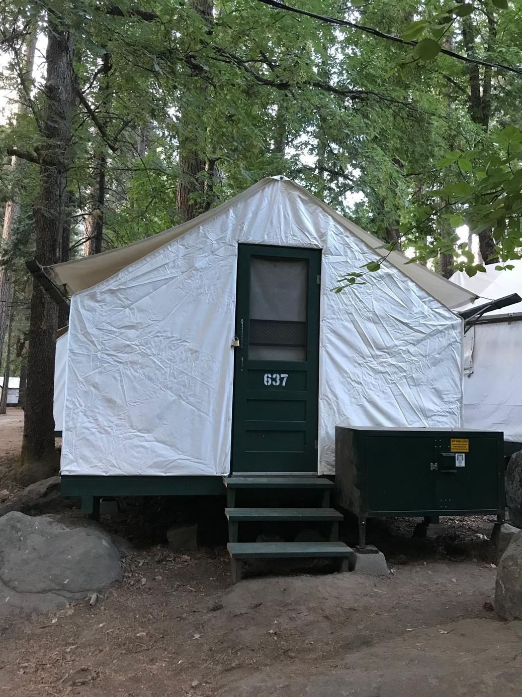 Notre tente en toile au cœur de la forêt de Yosemite